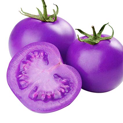 Purple Curious Tomatoes