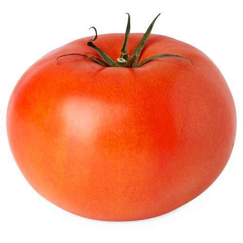 Tomato 101