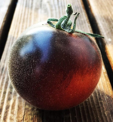 Scratchy Curious Tomatoes